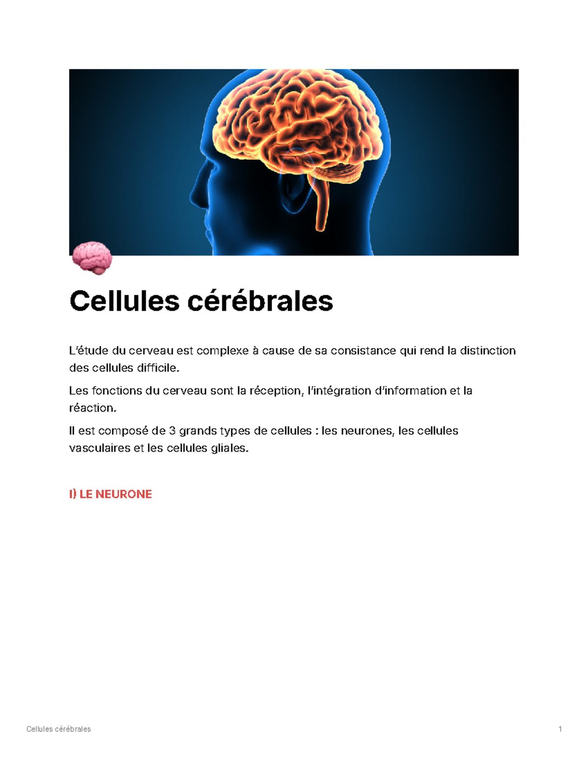 Cours - 🧠 Cellules cérébrales Lʼétude du cerveau est complexe à cause ...