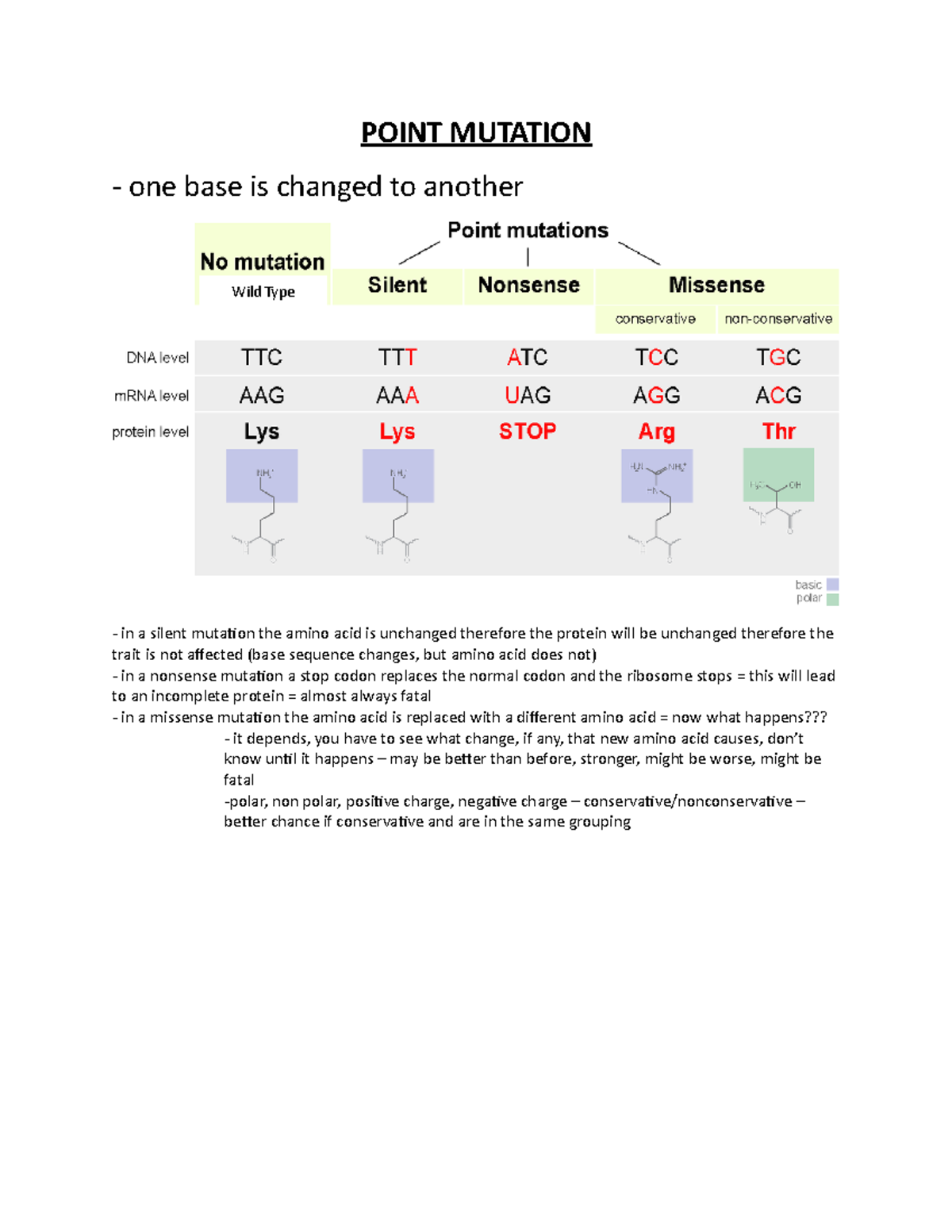 mutations-handout-lecture-5-point-mutation-one-base-is-changed-to