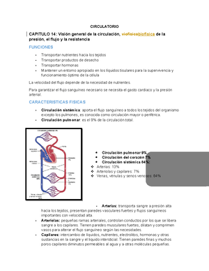 Magnesium disorders, punto de vista farmacologico sobre el magnesio ...