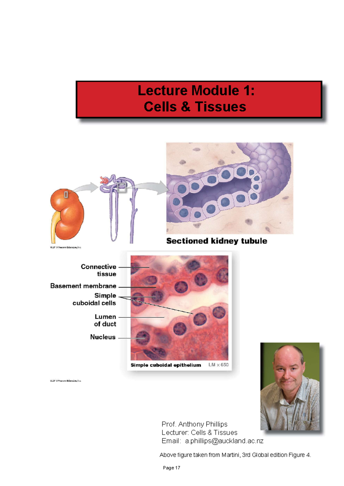 BYH - Pretty much everything you need - Prof. Anthony Phillips Lecturer ...