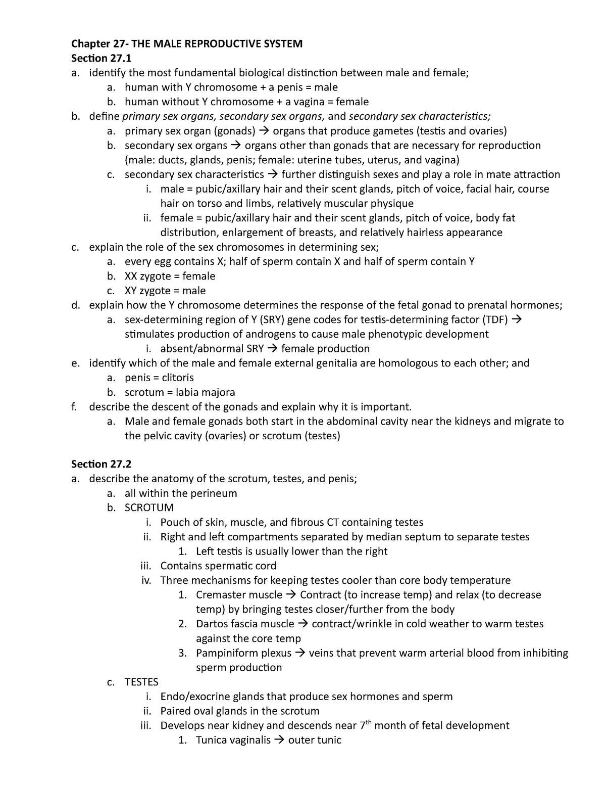 2018-Anatomy Physiology-Learning Outcomes Exam 6 - Chapter 27- THE MALE ...