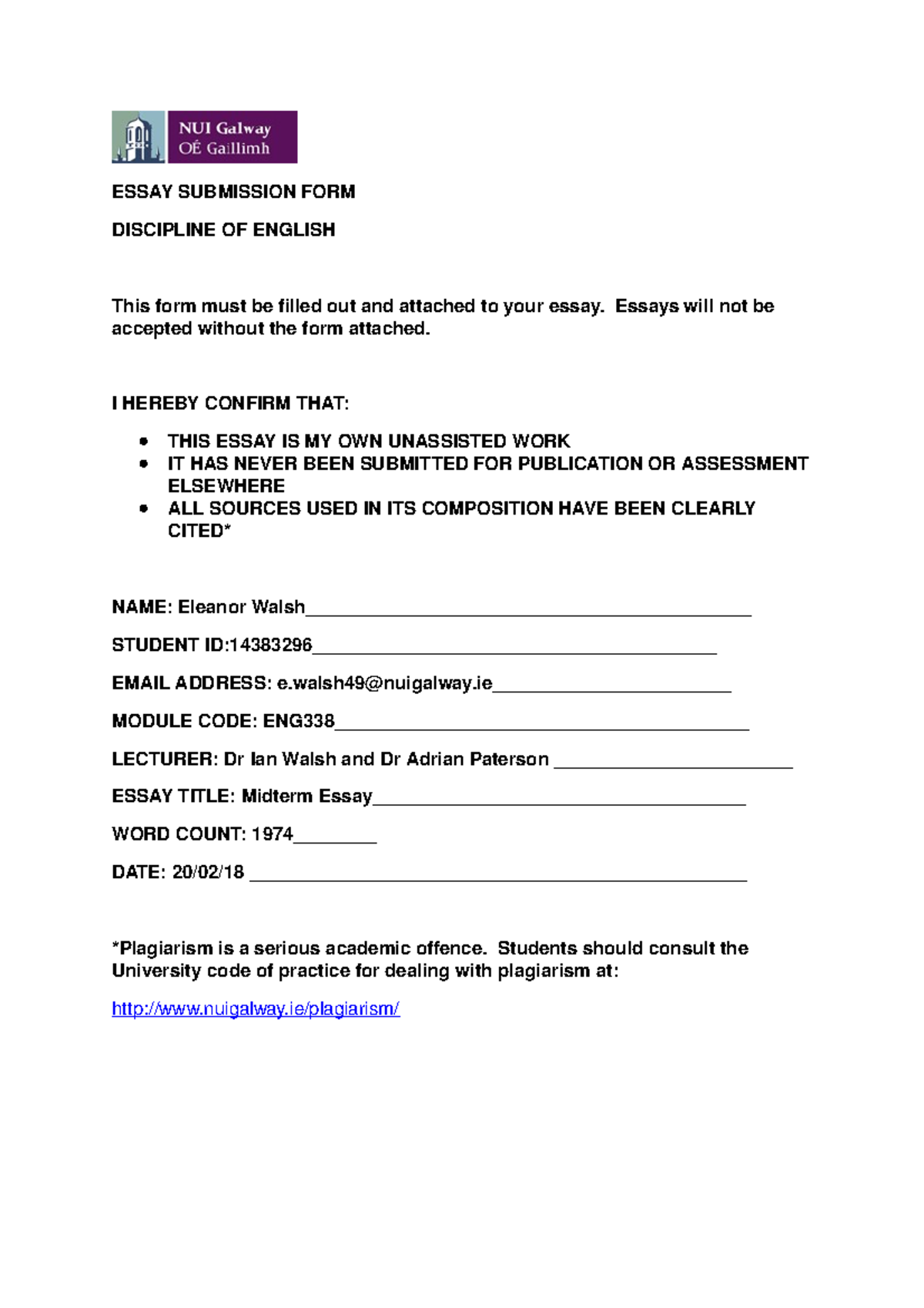 Violence essay example image