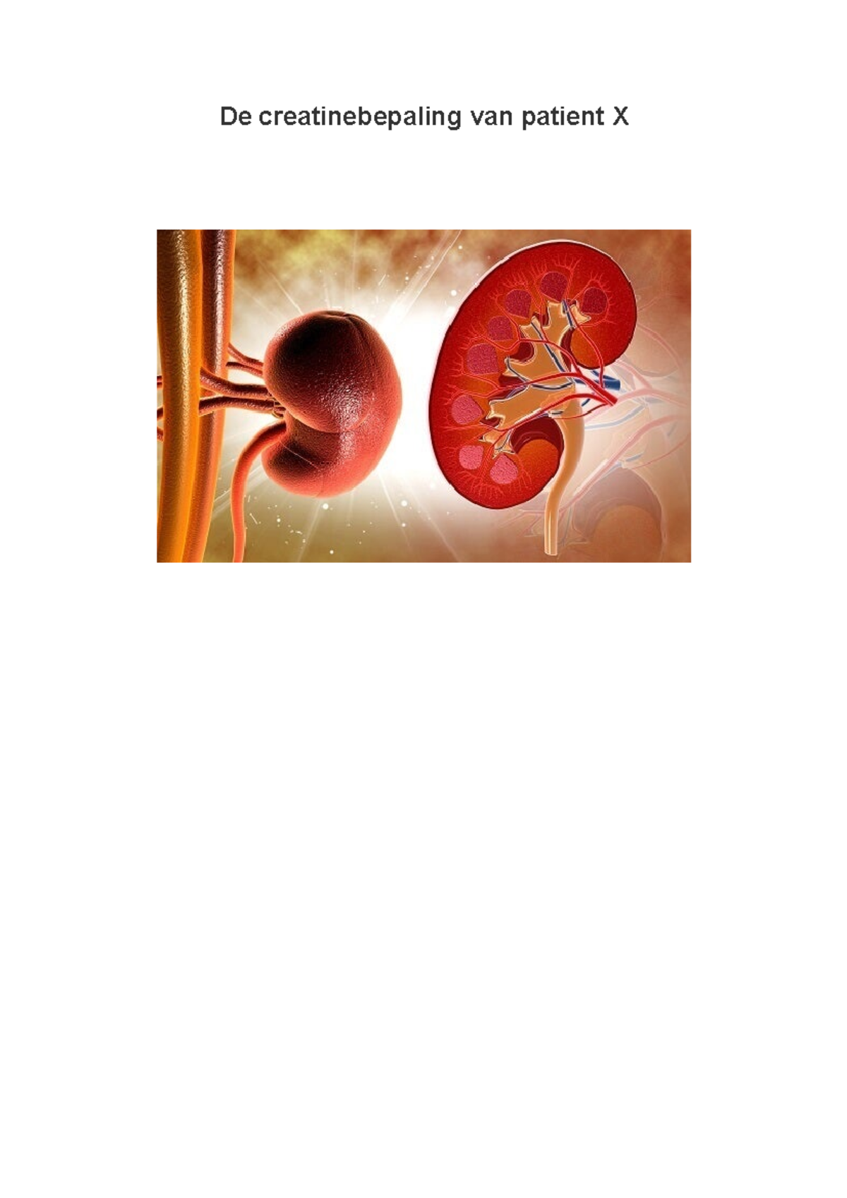 Creatinine bepaling patient X De creatinebepaling van patient X Veiligheid en milieu Wat zijn Creatinine bepaling patient X De creatinebepaling van patient X Veiligheid en milieu Wat zijn