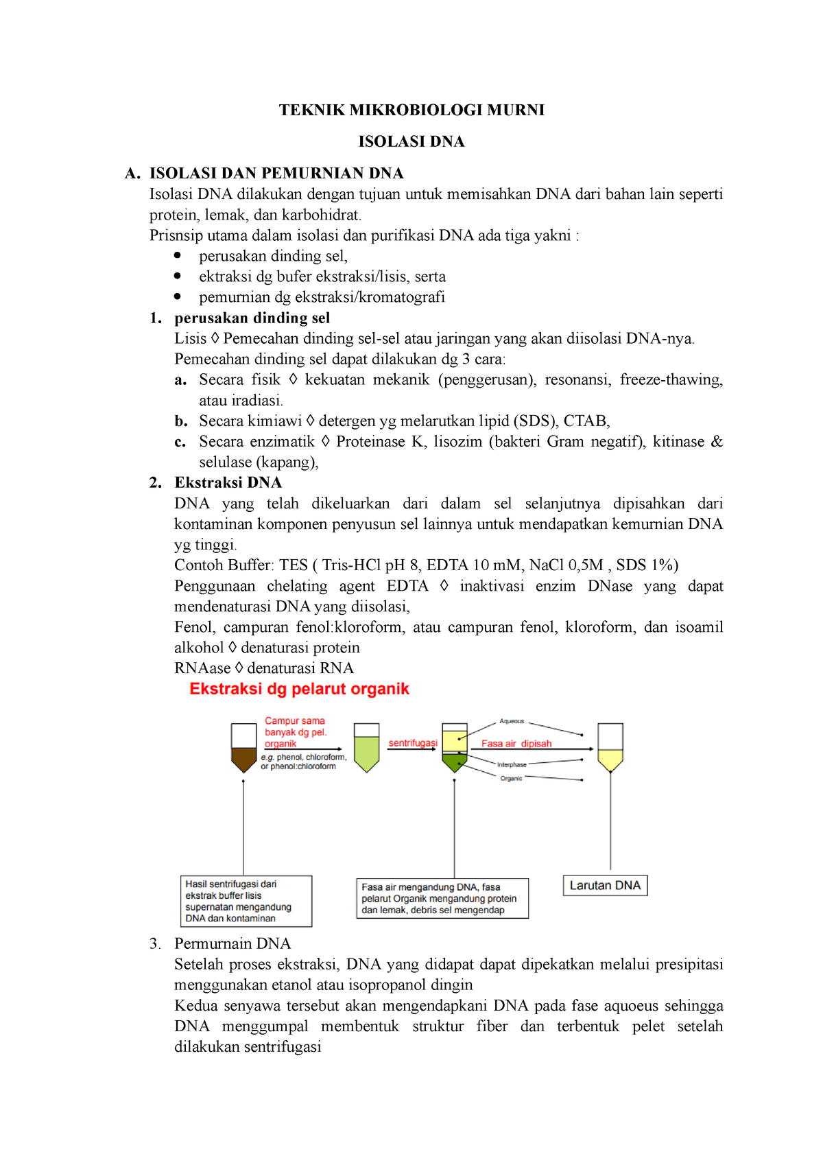 5. Isolasi DNA - Biotek Kimia Murni - TEKNIK MIKROBIOLOGI MURNI ISOLASI ...