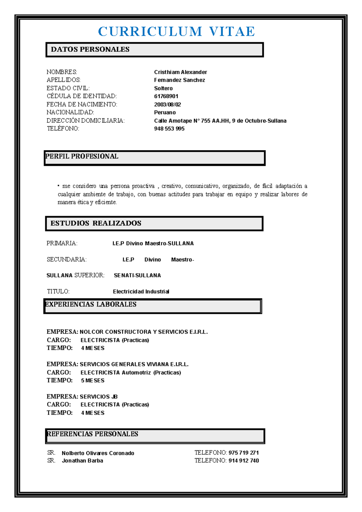 Curriculum Cristhiam - BBBBBBBBB - DATOS PERSONALES PERFIL PROFESIONAL ...