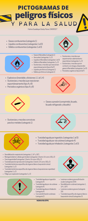 e1-mapa-conceptual-normativo-stps-seguridad-e-higiene-instituto