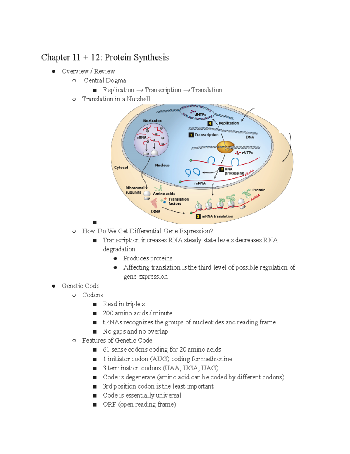 BISC401 Chapter 11 + 12 - Dr. Jeremy Bird Molecular Biology Of The Cell ...