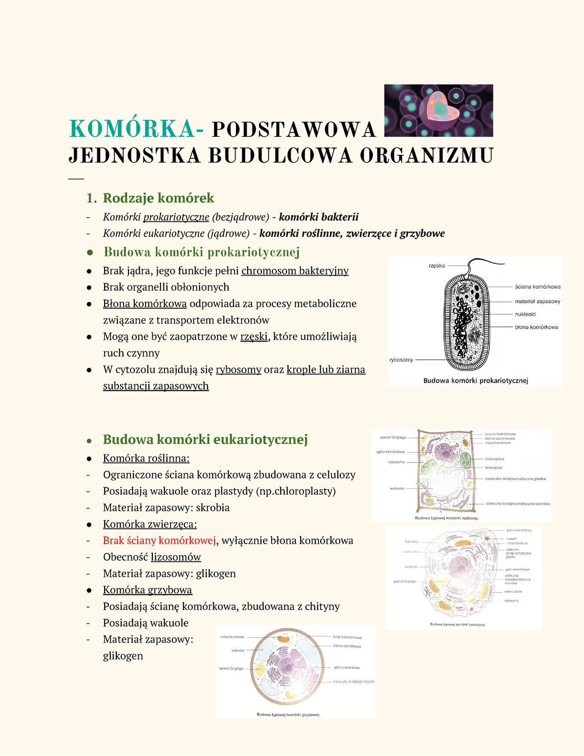 Komórka Notatki KomÓrka Podstawowa Jednostka Budulcowa Organizmu 1 Rodzaje Komórek 4946