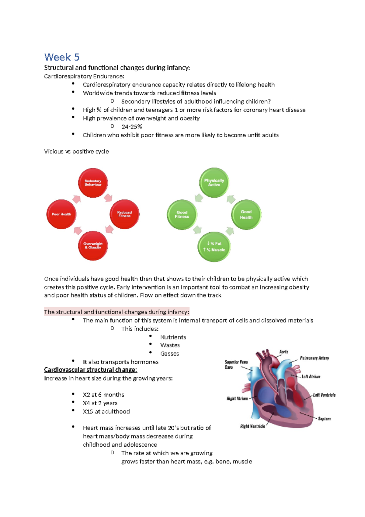 187 Exam notes - Week 5 Structural and functional changes during ...