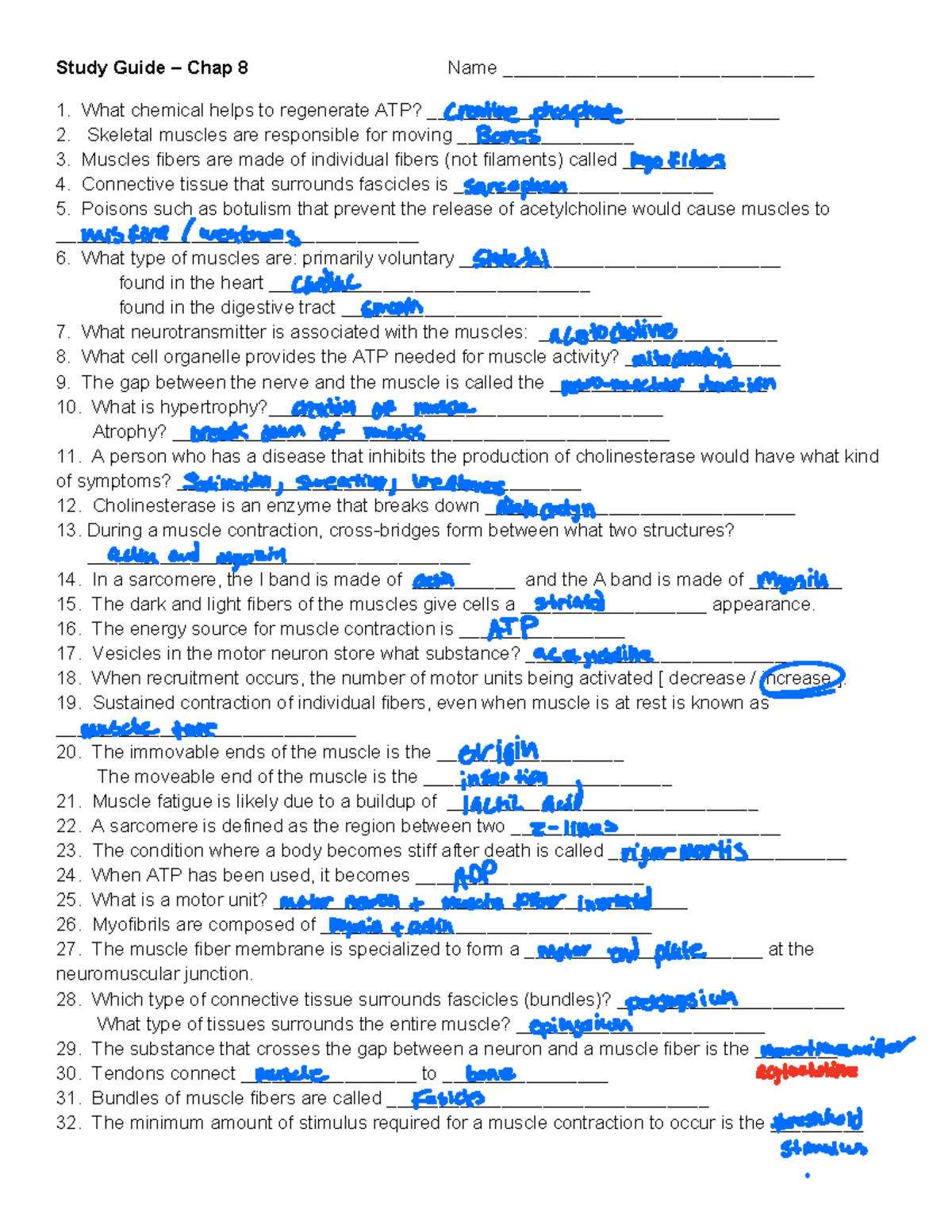 Chapter+8+Muscle+Study+Guide - Study Guide – Chap 8 Name ...