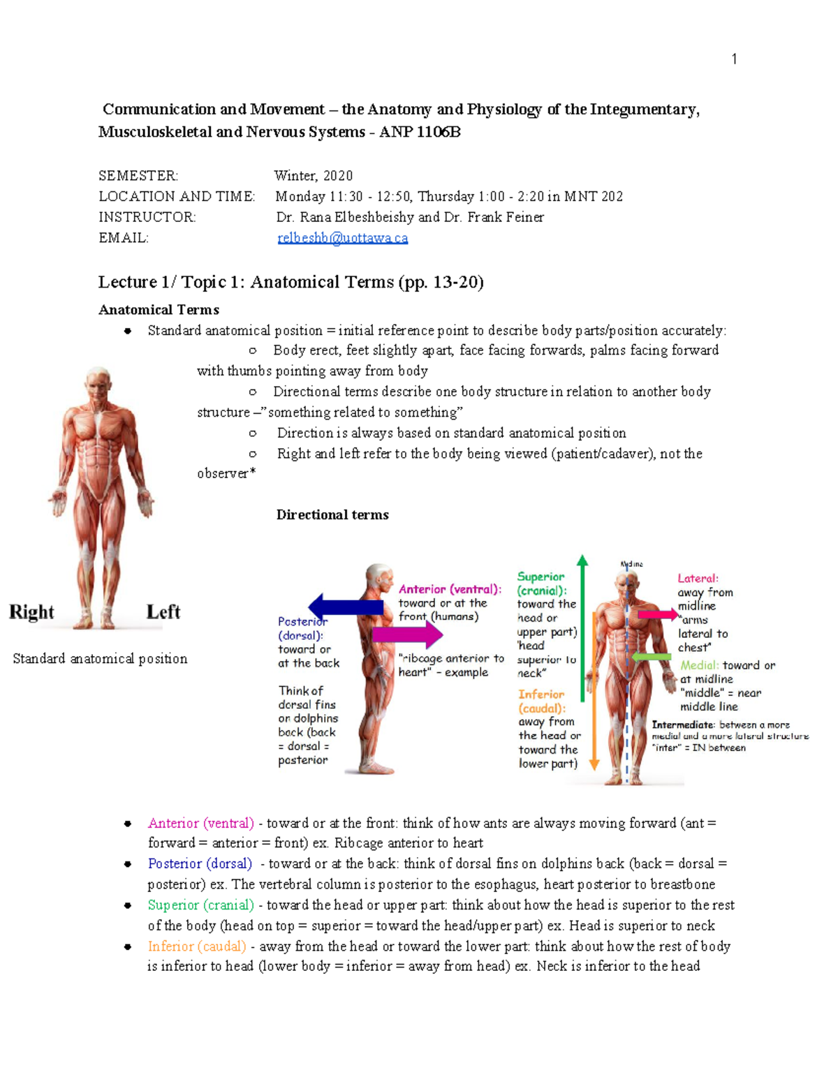 ANP1106 Notes - 1 Communication and Movement – the Anatomy and Physiology of the Integumentary ...