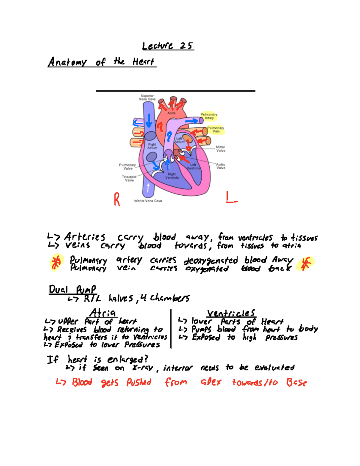 Lecture 25-27 Review - This course was taught by Michael Riddell ...