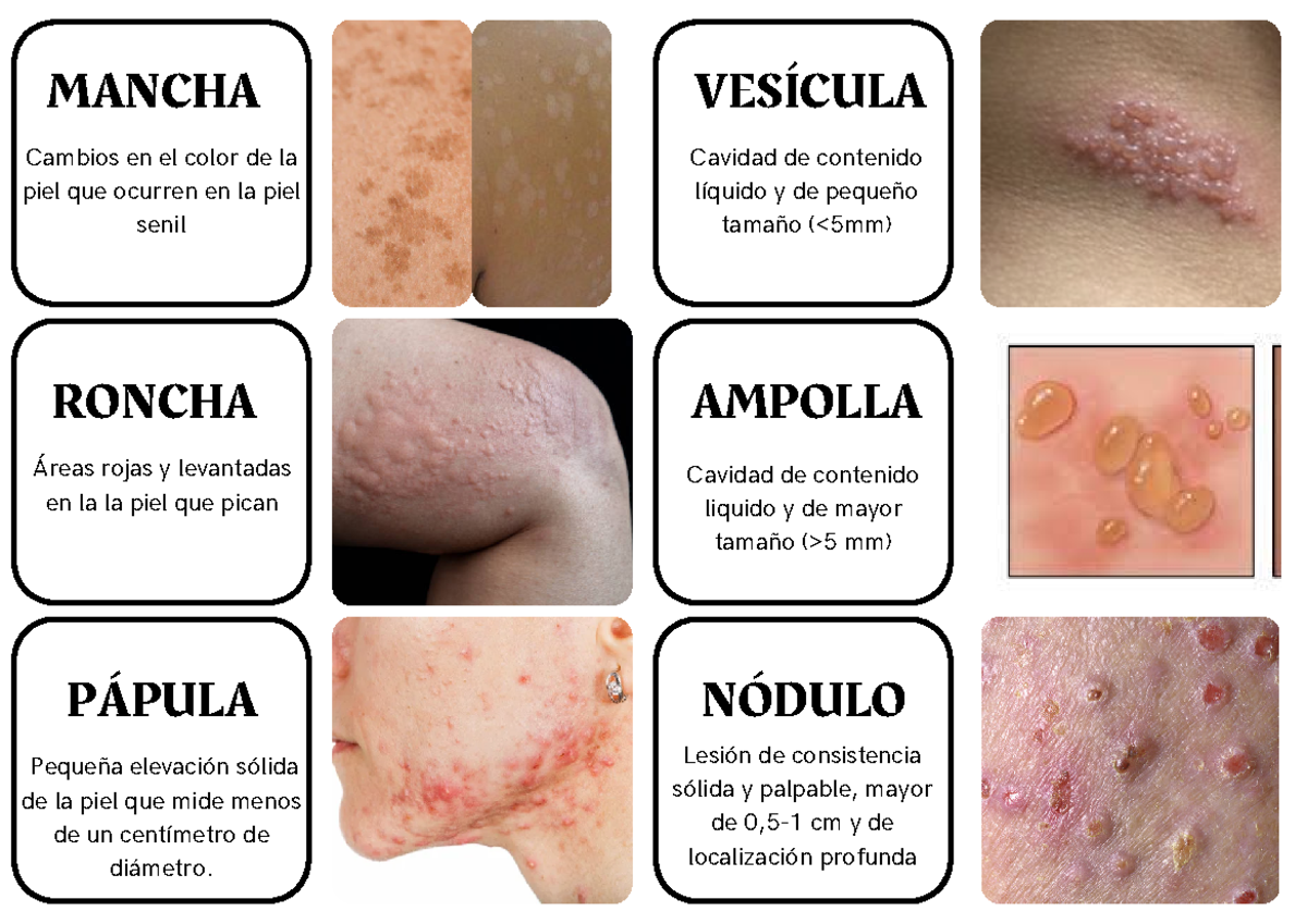 Memory partes del cuerpo español colores - MANCHA MANCHA RONCHA ...