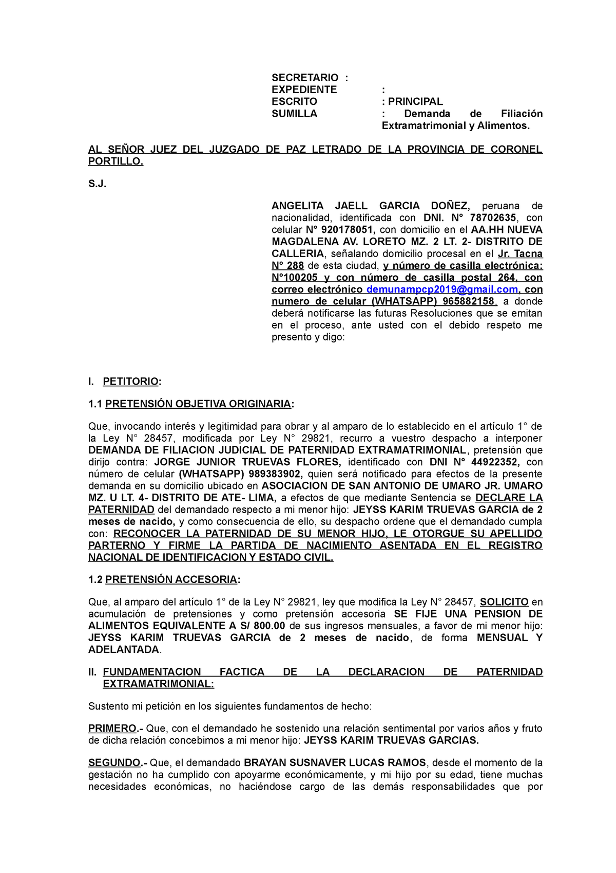 Filiación Y Alimentos 1 HIJO - SECRETARIO : EXPEDIENTE : ESCRITO ...