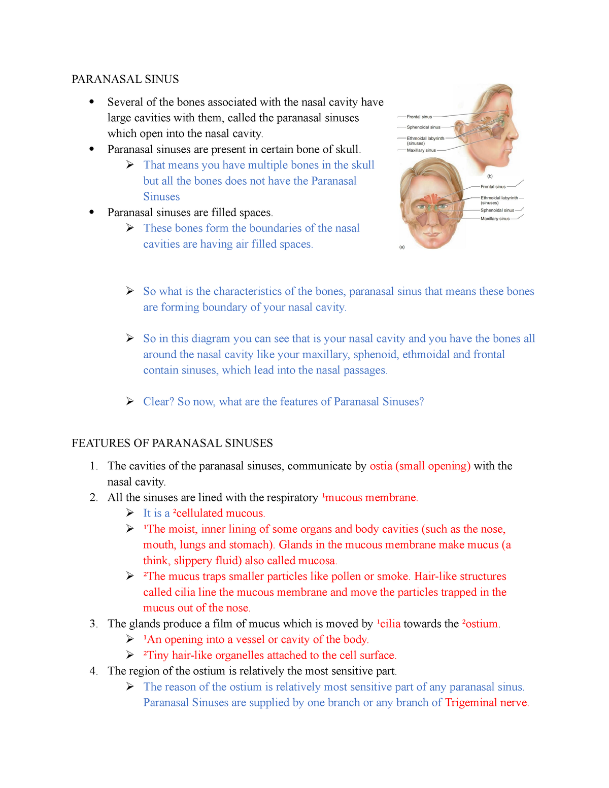 Paranasal sinuses - PARANASAL SINUS Several of the bones associated ...