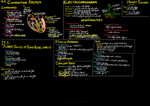 Chapter 22 The Lymphatic System And Immunity - Chapter 22: The ...