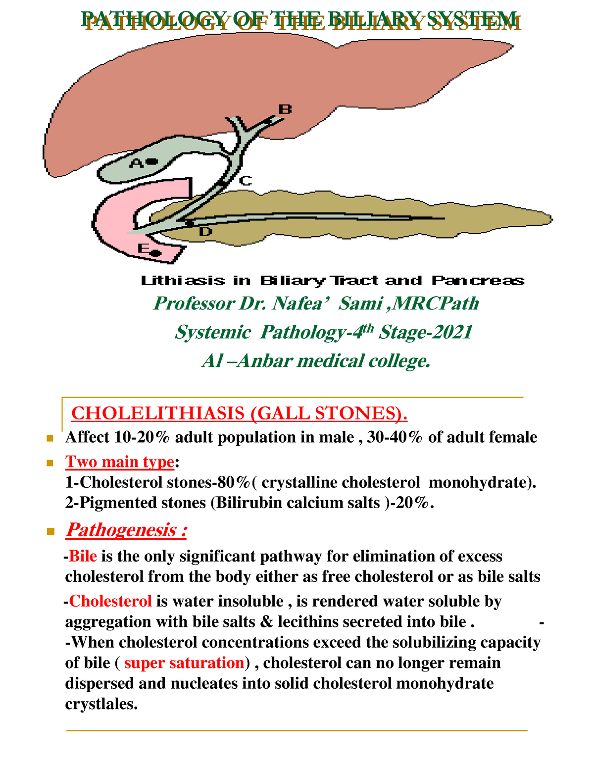 Pathology OF THE Biliary System - PATHOLOGY OF THE BILIARY SYSTEM ...