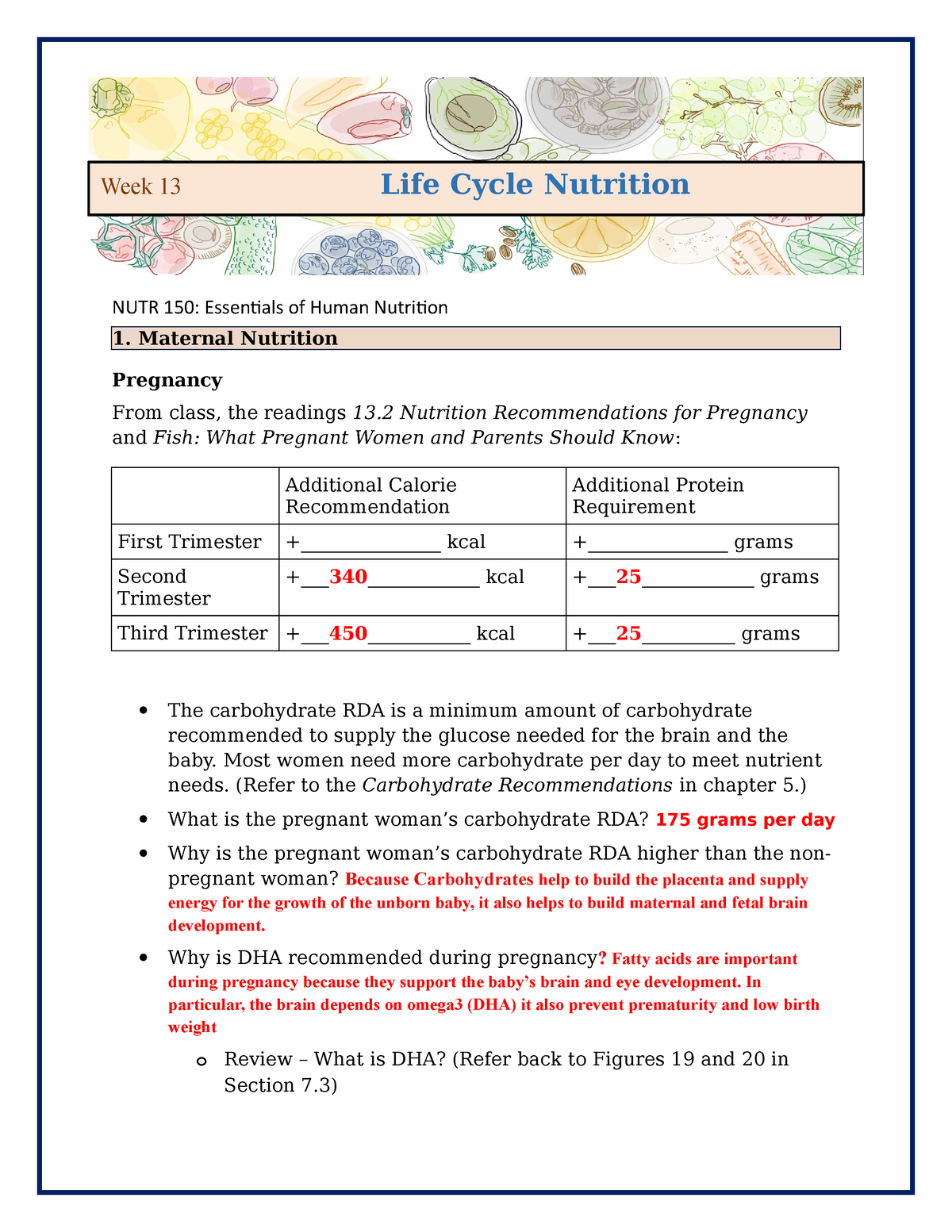 Week 13 Study Guide - NUTR 150: Essentials of Human Nutrition Maternal Nutrition  Pregnancy From - Studocu