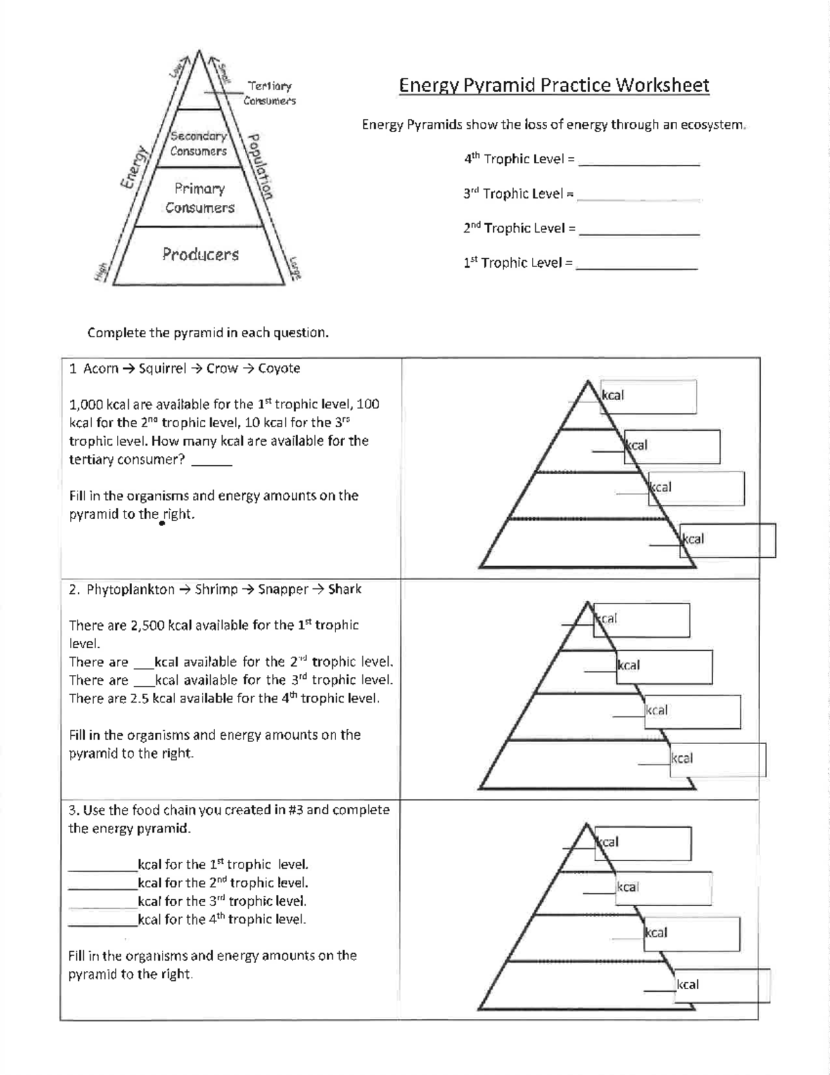 Chelsea Denaud - energy pyramid practice worksheet - scw1234 - Studocu