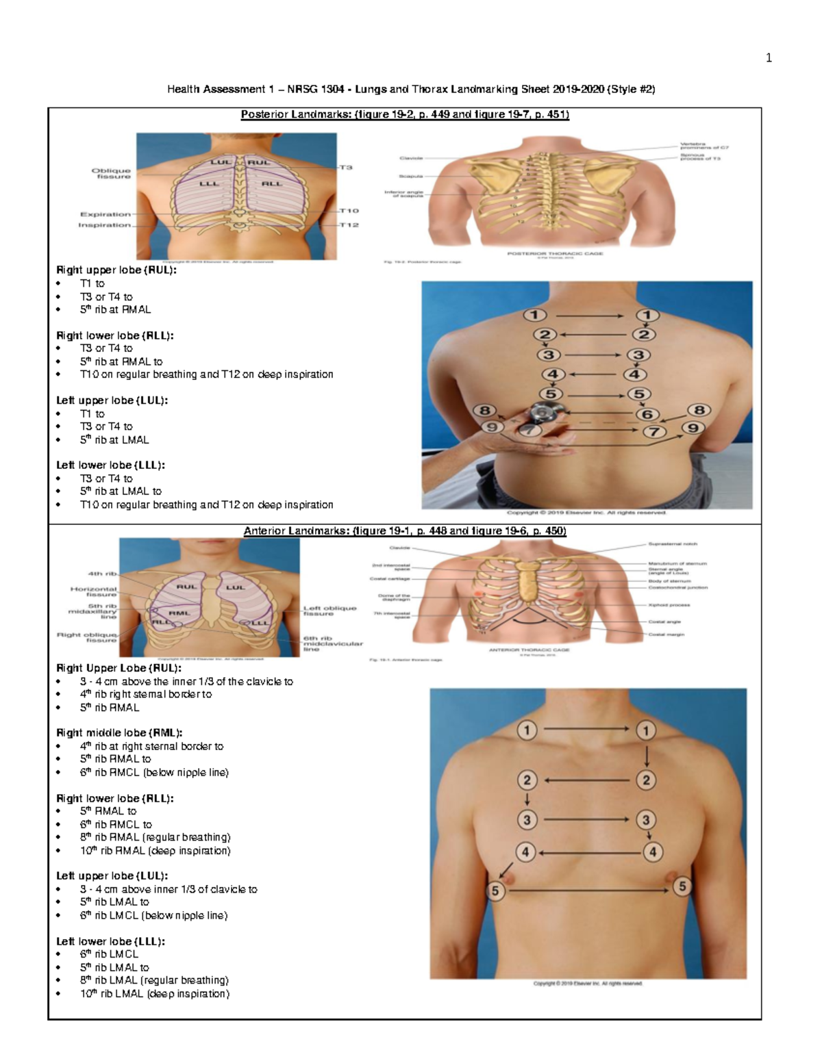 Lungs and Thorax Landmarking Sheet - Style #2 - 1 Health Assessment 1 ...