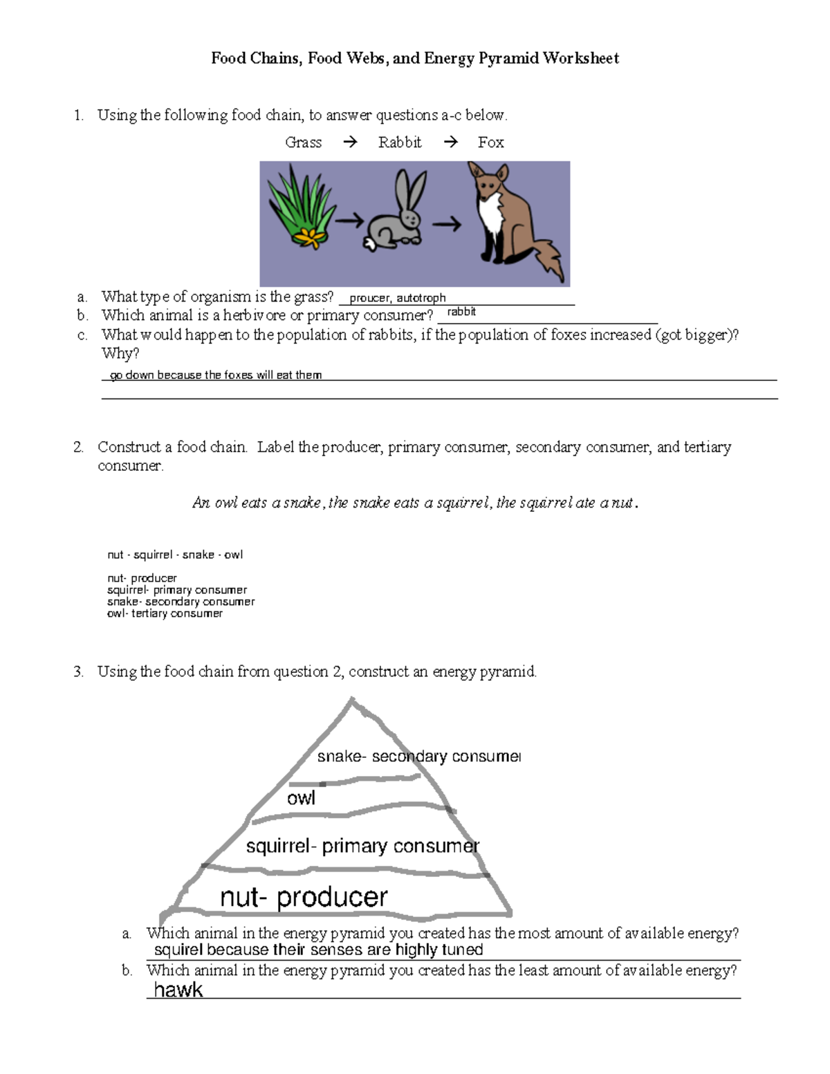 Ecology Chain WS - answer key if anyone needs it - Food Chains, Food  Webs, and Energy Pyramid - Studocu