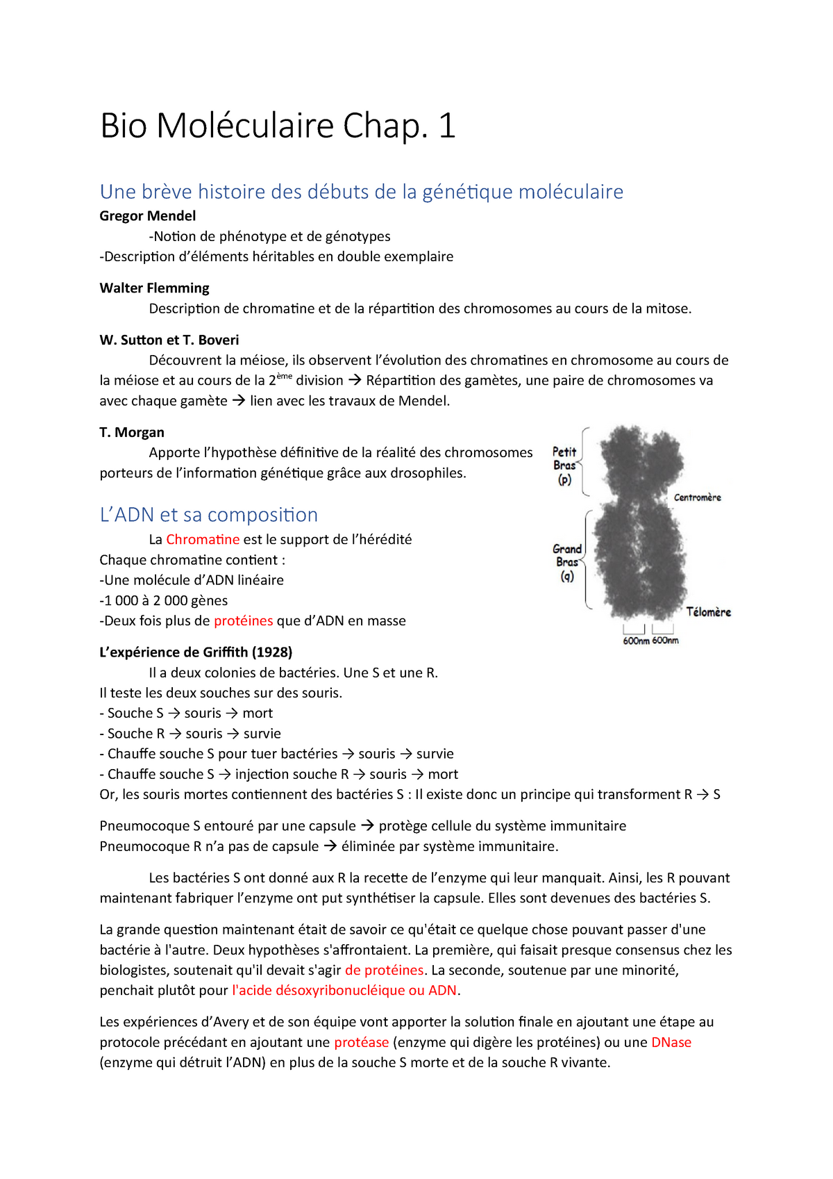 Chapitre 1 Biologie Moléculaire 19/20 - Warning: TT: Undefined Function ...