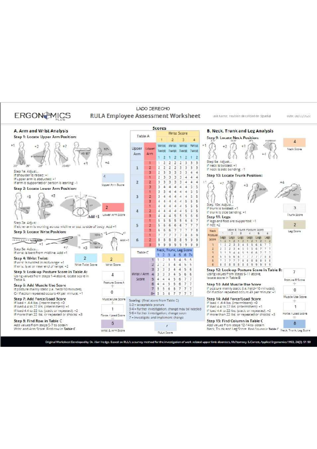 RULA - Método rula para diseñar un centro de trabajo ergonómico - Leyes ...