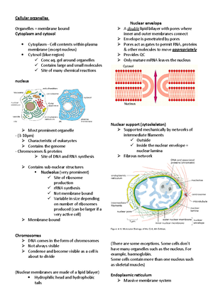 Membrane transport - MSc Stem Cell - Membrane Transport Zita Balklava z ...