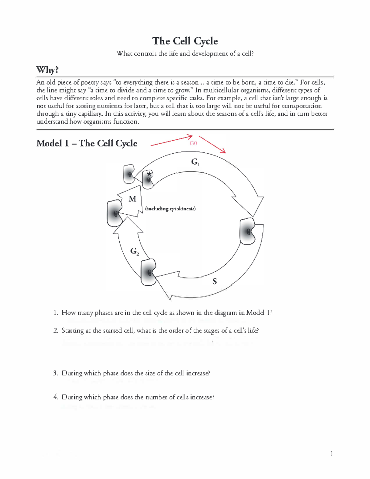 cell-cycle-pogil-student-worksheet-fa2022-what-controls-the-life-and