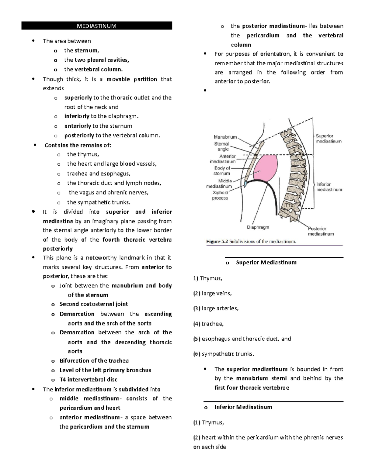 Mediastinum-Mammary - Mediastinum-Mammary - MEDIASTINUM The area ...