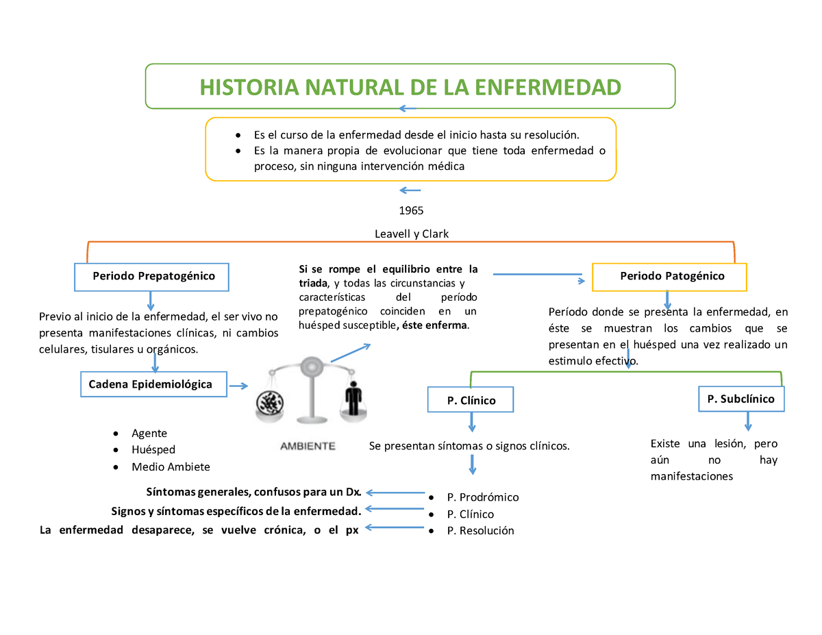 Esquema Historia Natural Historia Natural De La Enfermedad Es El