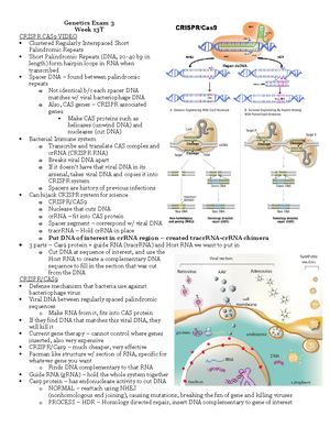 10. Dominant:recessive inheritance - Autosomal Dominant and Recessive ...