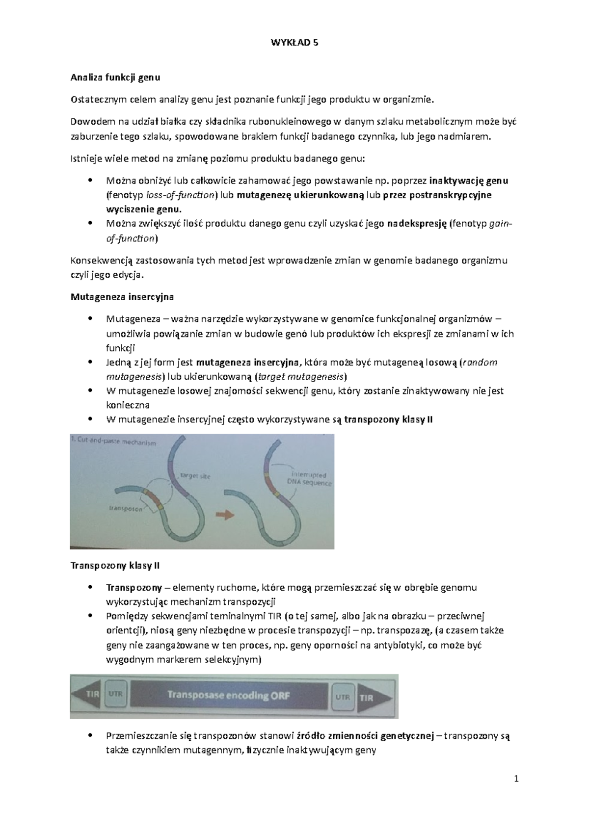 Biologia molekularna-inżynieria genetyczna wykład 5 - WYKŁAD 5 Analiza