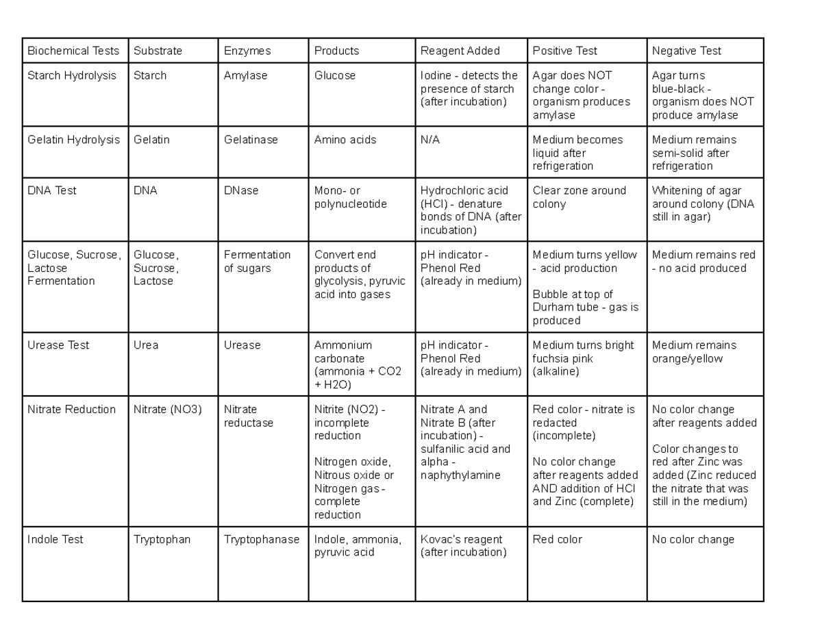 Biochemical Tests Chart - Biochemical Tests Substrate Enzymes Products ...