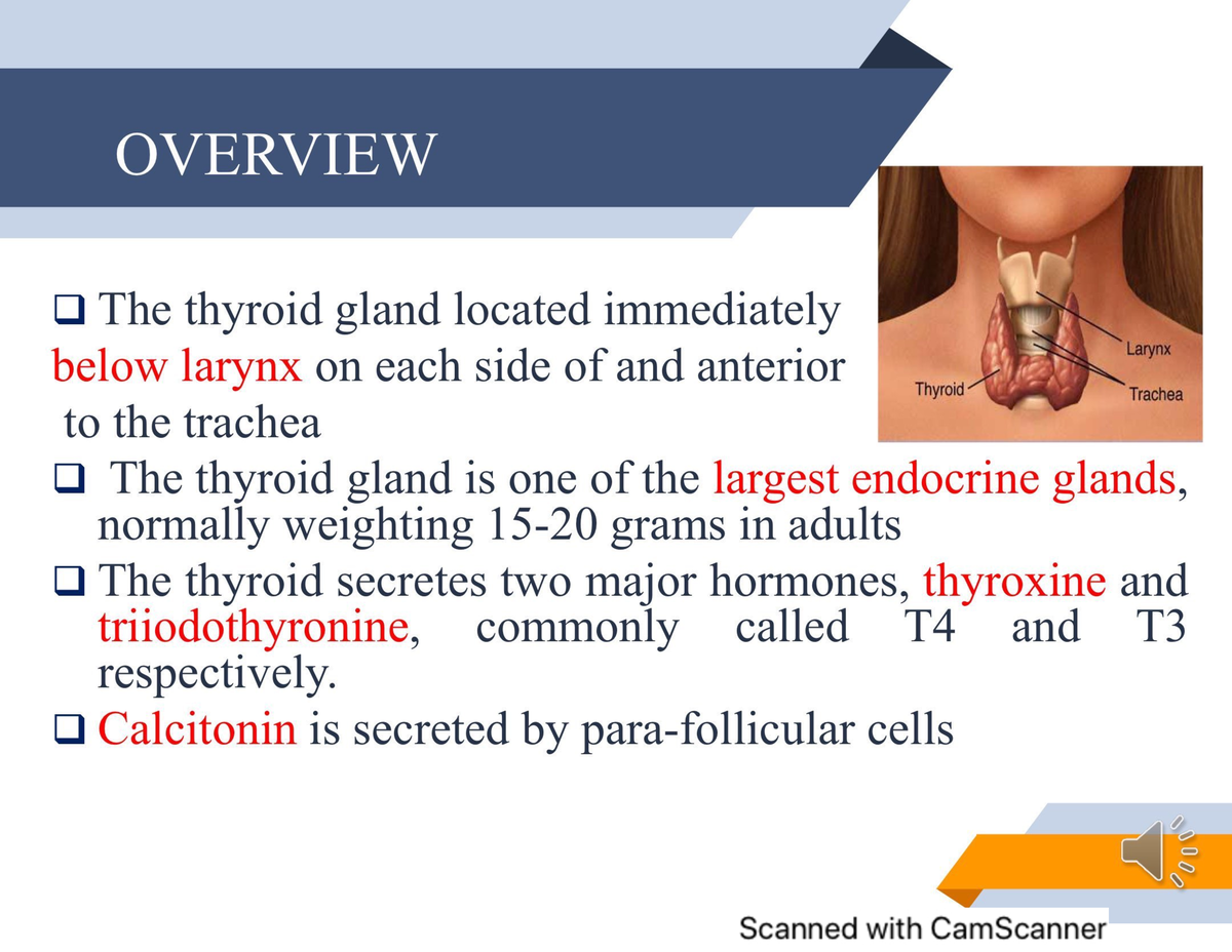 Thyroid disordrs 2022 - pituitary gland disorder - Clinical Pharmacy ...