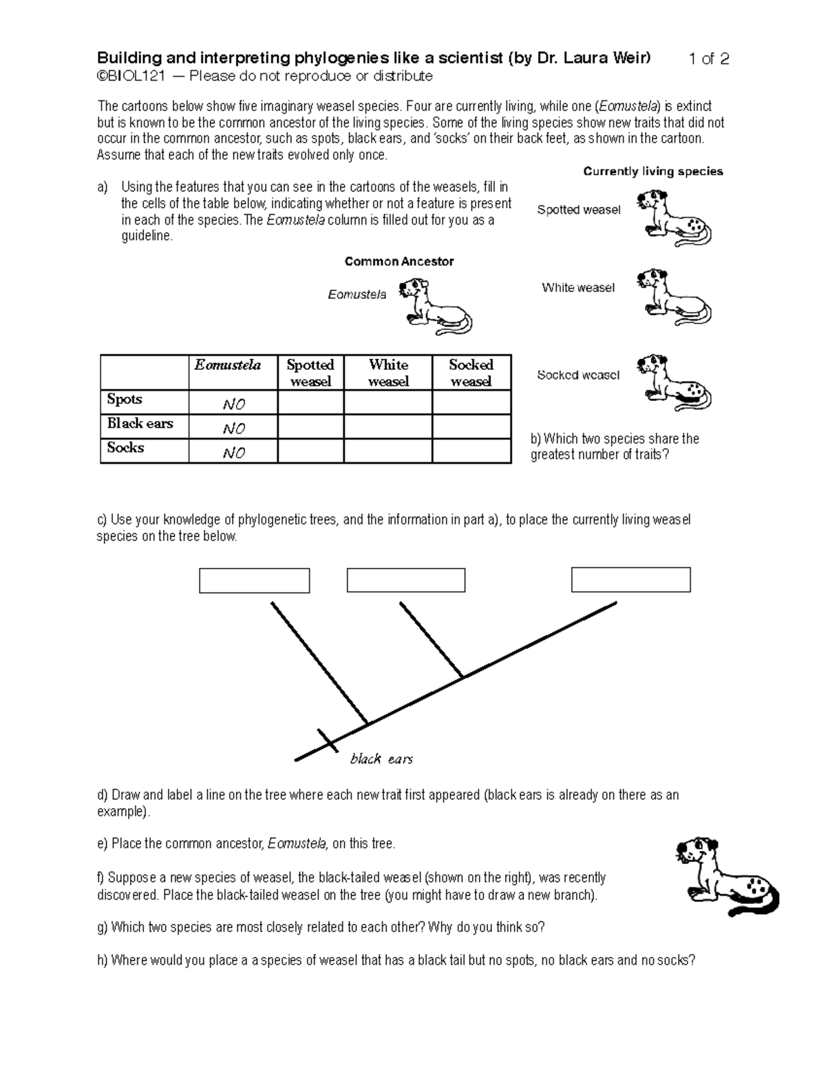 Unit05-Laura weasels worksheet-1 - extinct but is known to be the ...