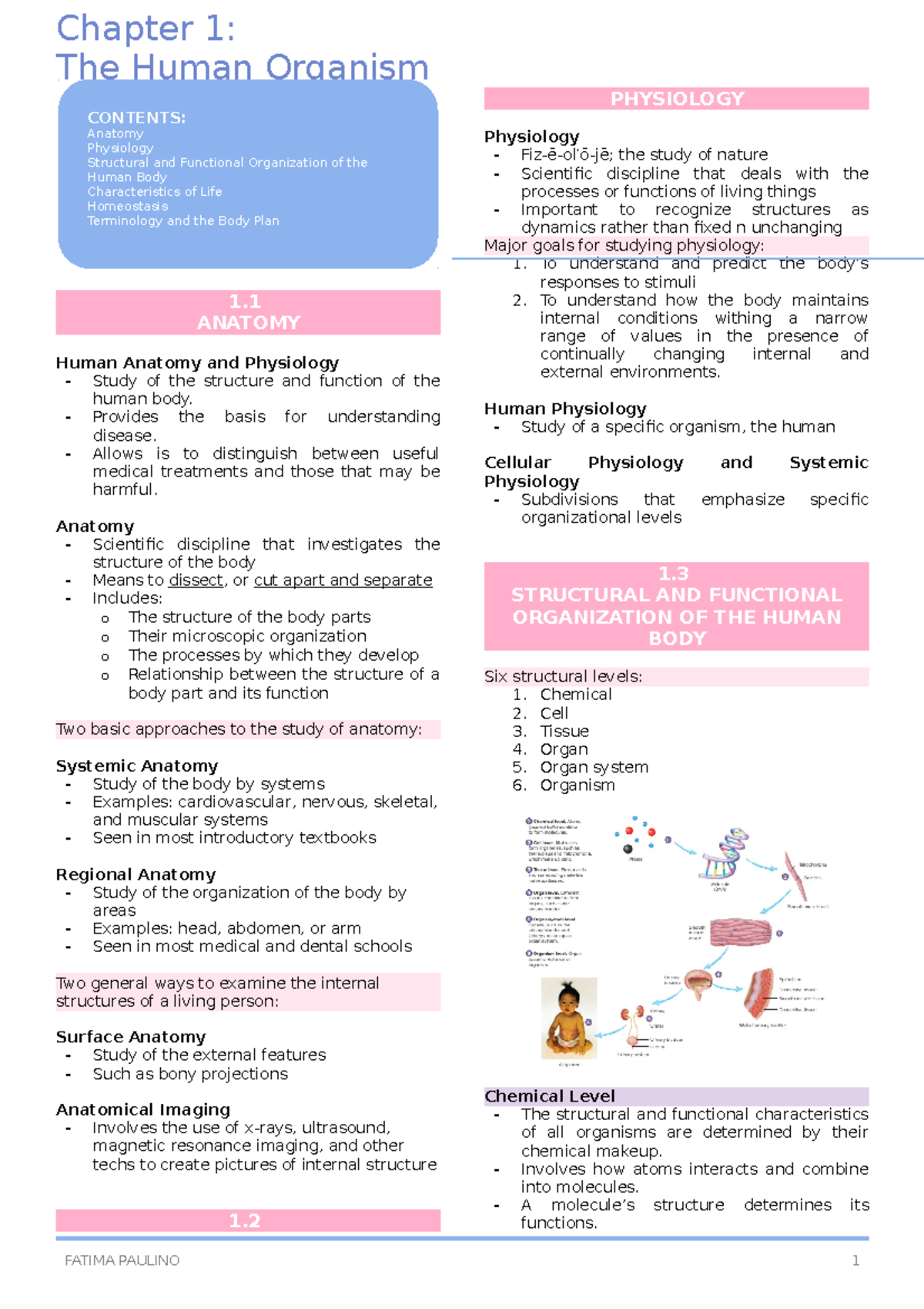 Chapter 1 - The Human Organism - The Human Organism 1. ANATOMY Human ...