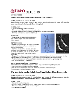 Phylum Arthropoda, Subphylum Mandibulata Clase Crustacea - CLASE 20 ...