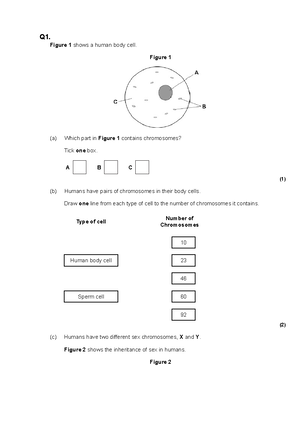 Timed assessment paper 1 (calc) 2H 45 minutes - This is half of a ...