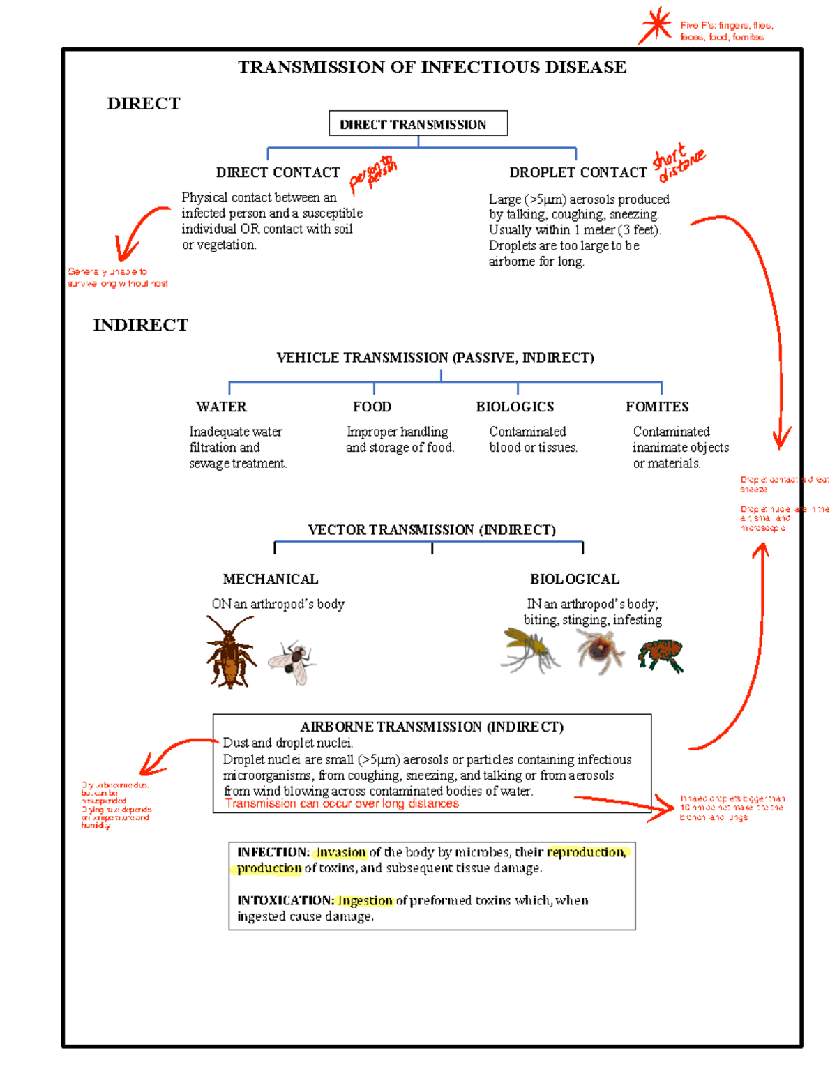 Cheat Sheet 3+Transmission - TRANSMISSION OF INFECTIOUS DISEASE VECTOR ...