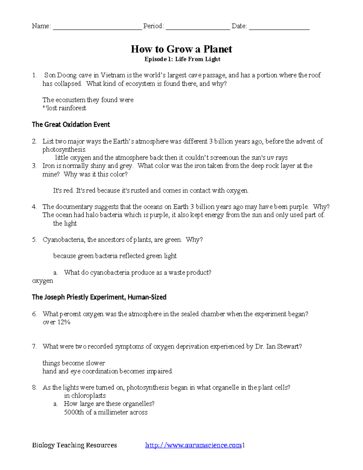 How to Grow a Life From Light Name