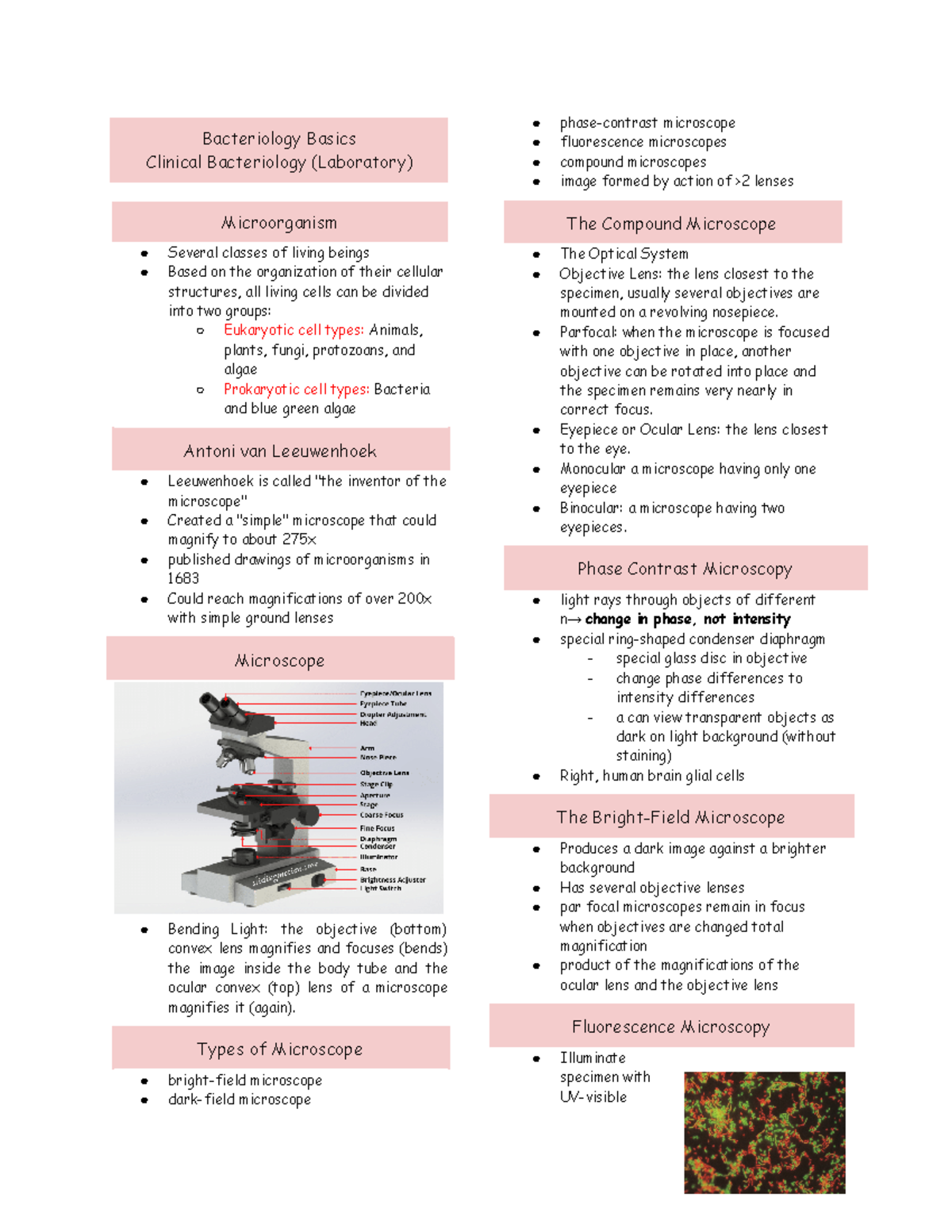 Bacteriology Basics introduction to microbiology shape of the
