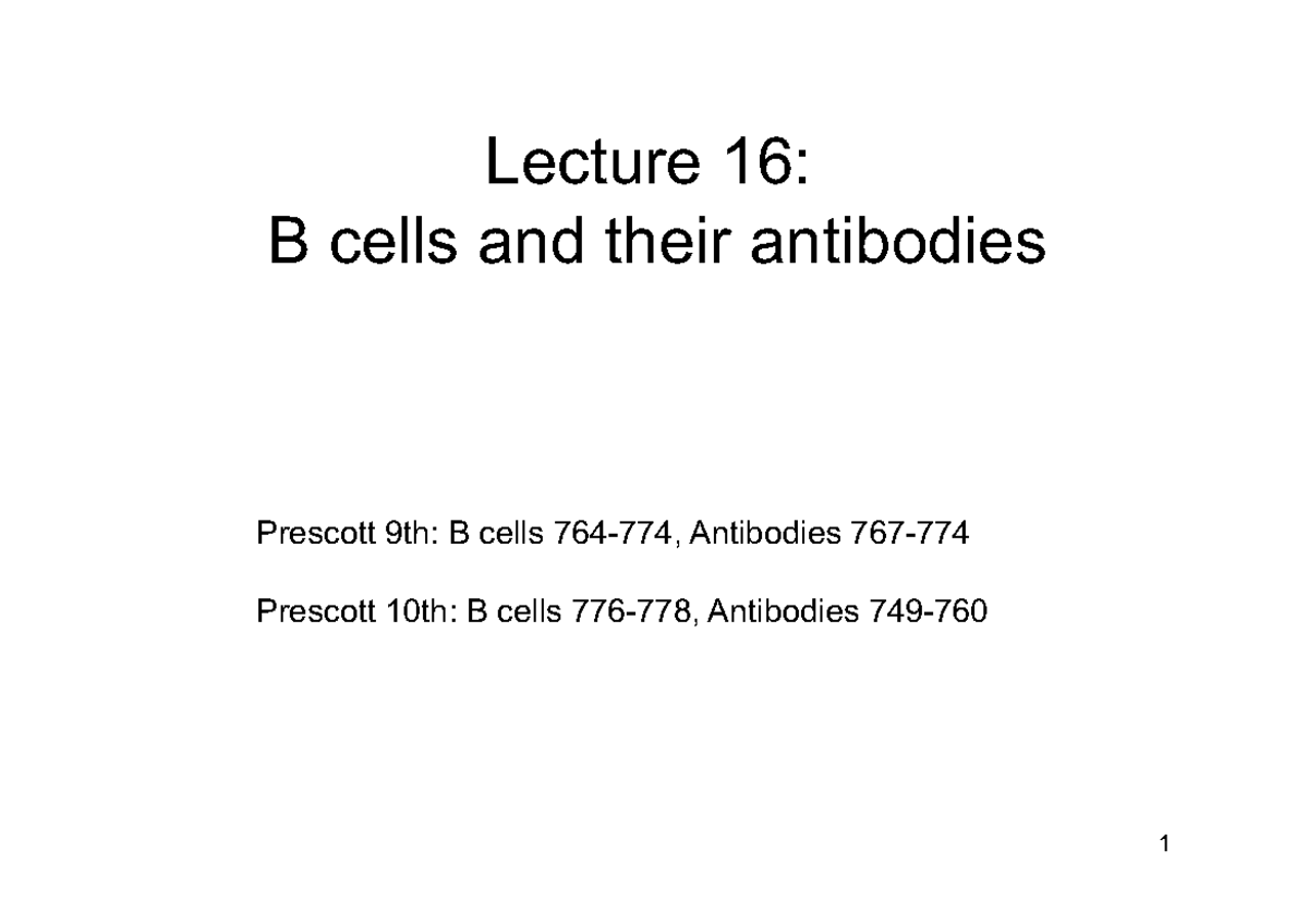 MICR221 Lecture 16 B Cells - Lecture 16: B Cells And Their Antibodies 1 ...