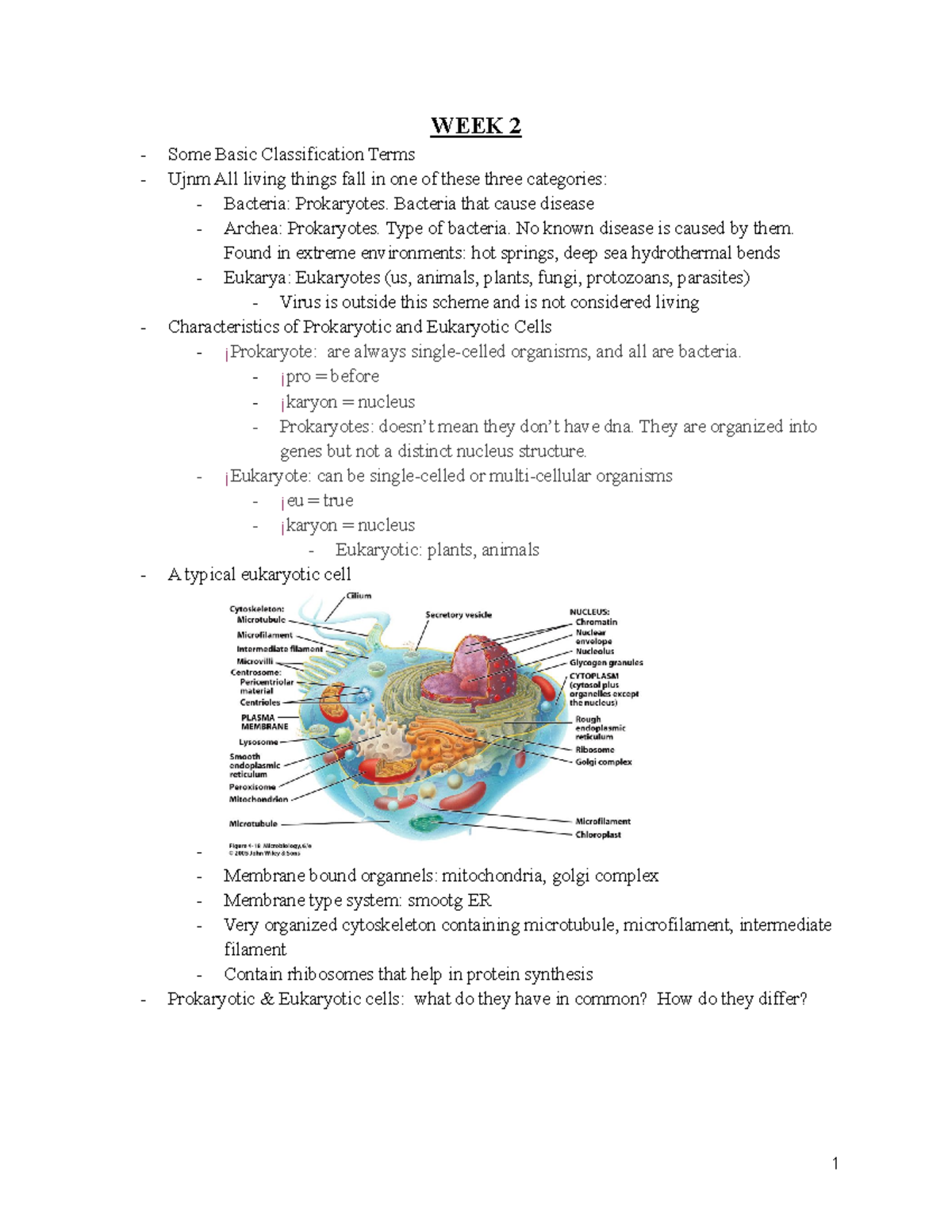 Microbiology- W2 - sabrinas online lecture - WEEK 2 Some Basic ...