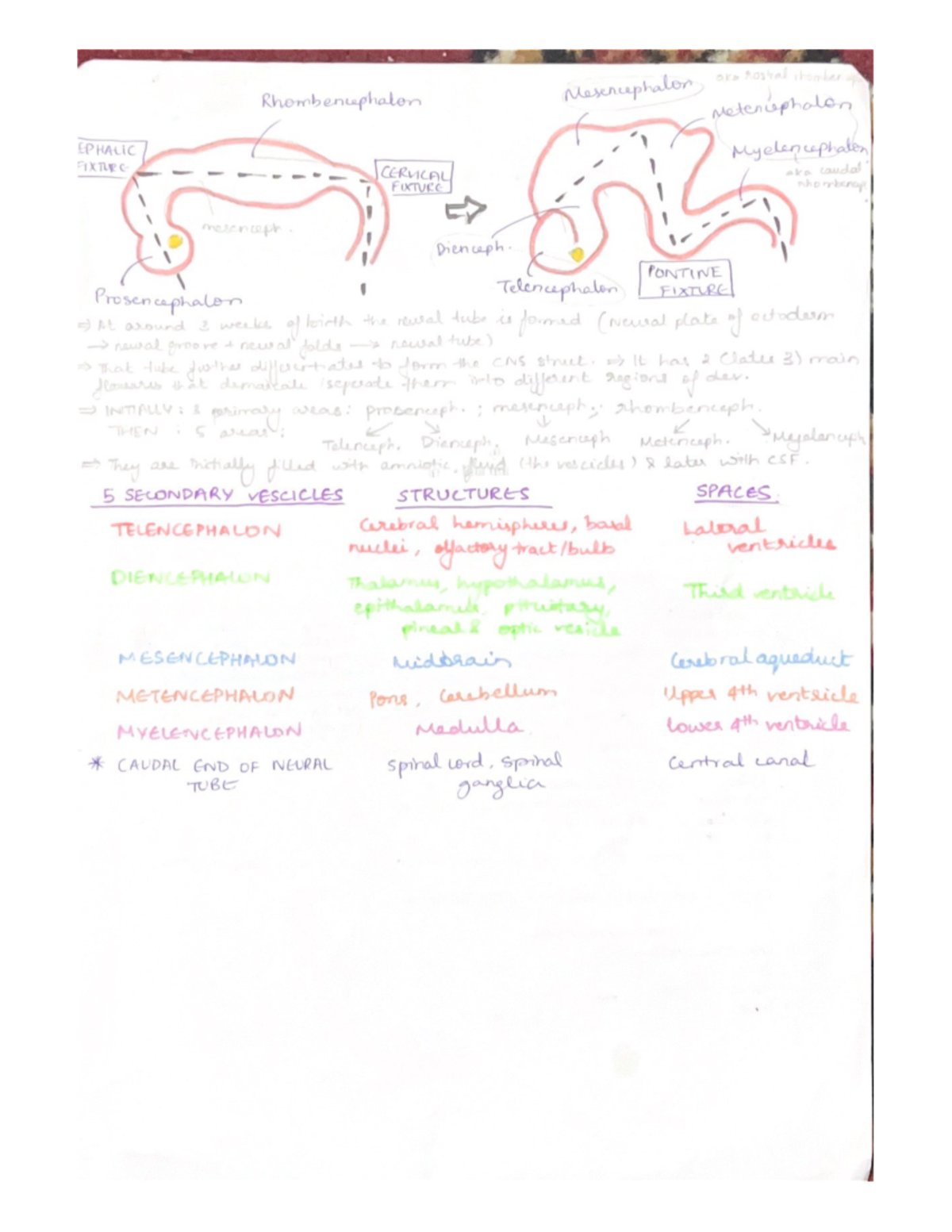 Neurology 5 - SLM102 - Studocu