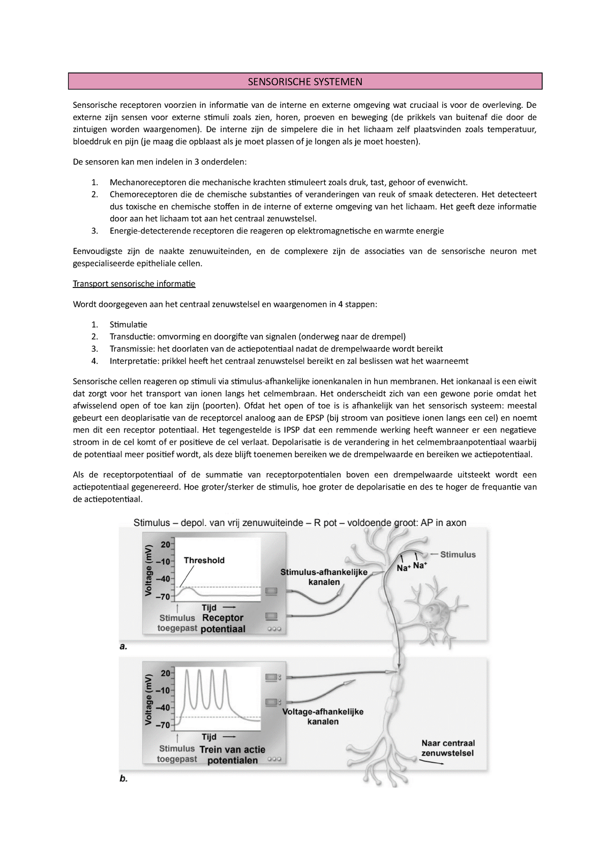 Sensorische Systemen - Samenvatting Vergelijkende Biologie ...