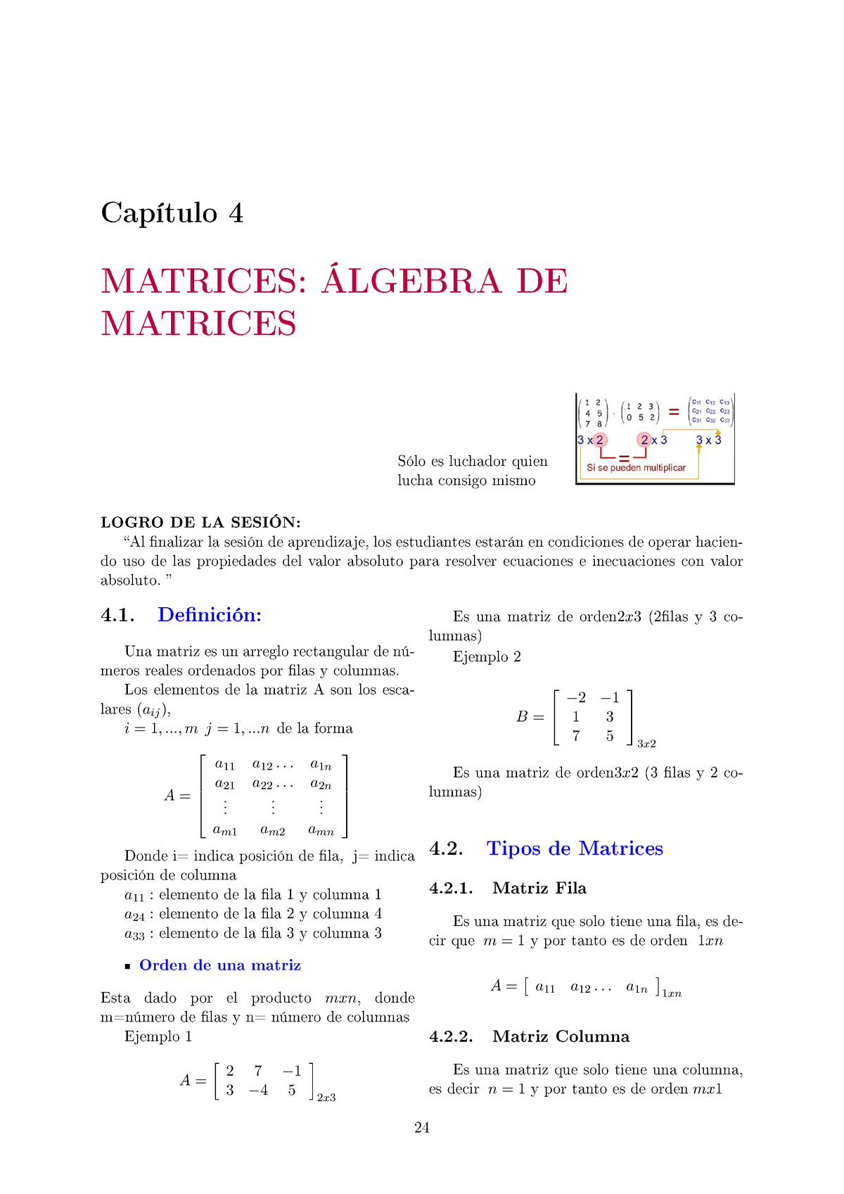 S S Teoria Y Practica Matrices Y Algebra De Matrices Cap Tulo Matrices Lgebra De