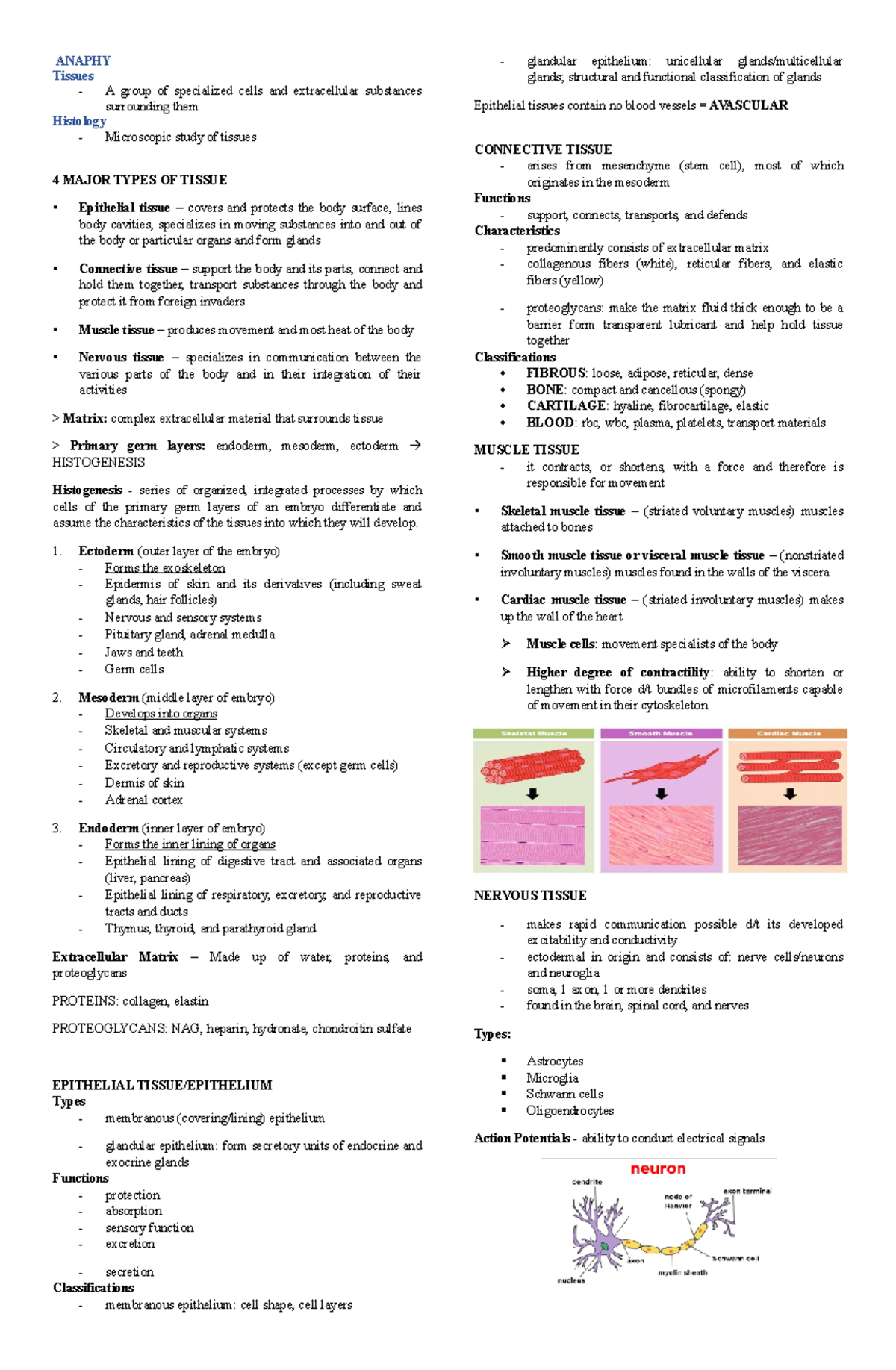 Integumentary and Skeletal System - ANAPHY Tissues - A group of ...