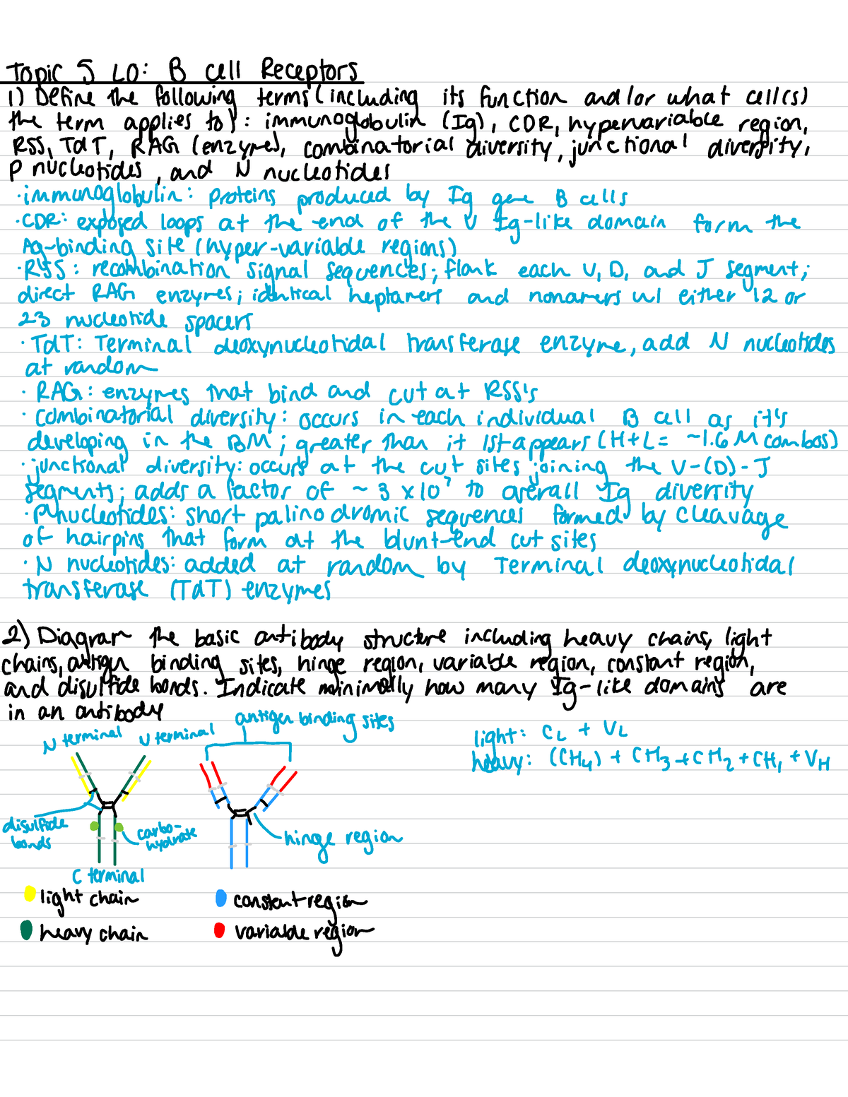 bld 434 case study 2