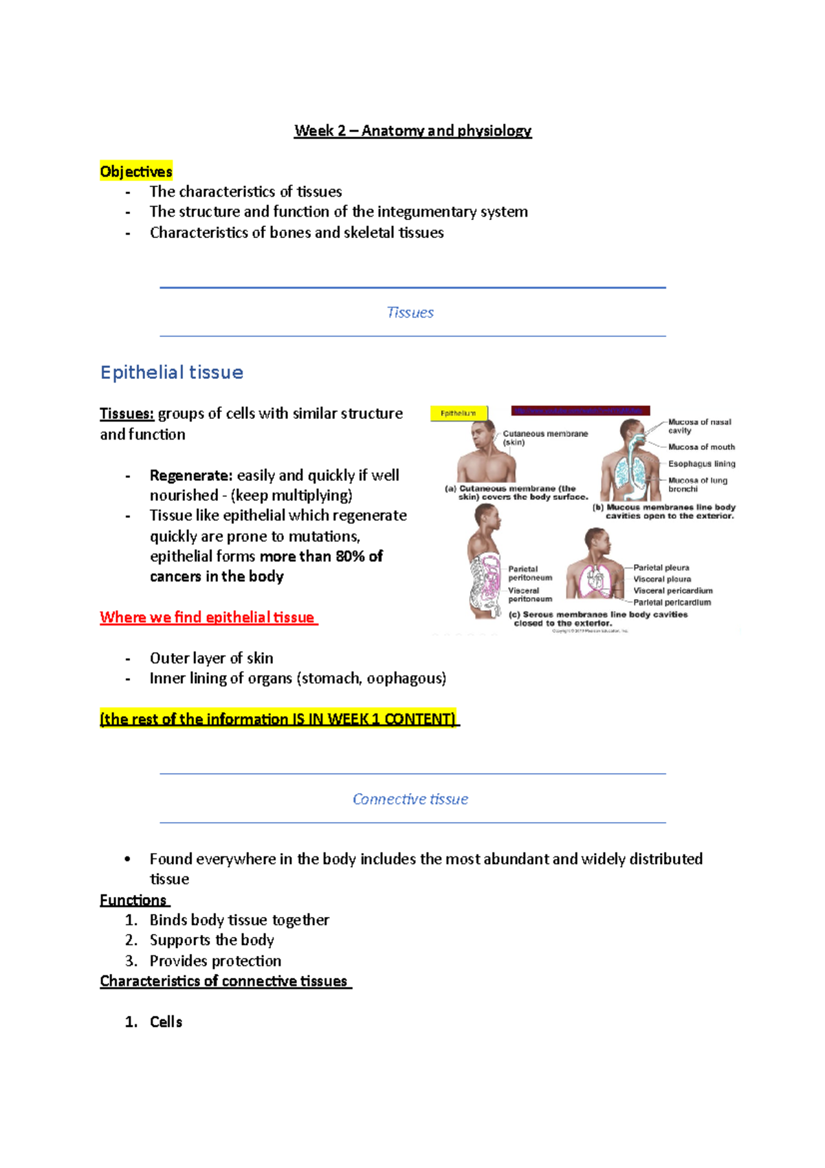 Week 2 - anatomy and phsiology - Week 2 – Anatomy and physiology ...